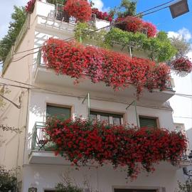 Casa Farella B&B in SUITES Apartments and Terrace Altamura x Matera