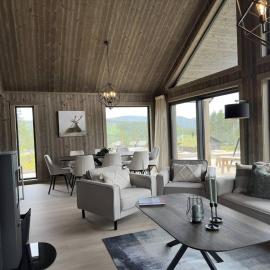 Luxury holiday home, skiing, sauna, remote office