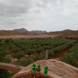CORTIJO Rural MOLINO EL TARAHAL con piscina y zonas compartidas