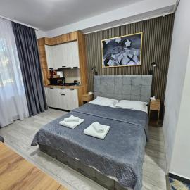 AchiDav 133: Onești şehrinde bir otel