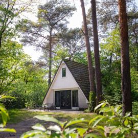 Vacation home Magnolia Veluwe, hotel in Nunspeet
