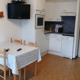Appar T2 3 lits vue montagne terrasse vielle aure