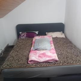 Pensiunea Leo, hotel in Vişeu de Sus