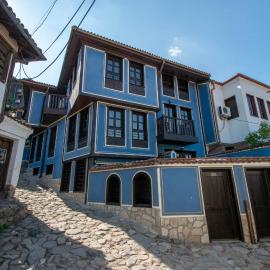 Blue House