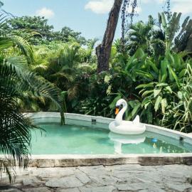 Bungalows India, El Valle, Samana, hotel a Santa Bárbara de Samaná