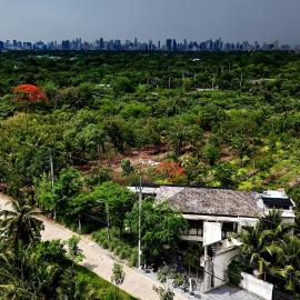 Coconut Lane Bangkok