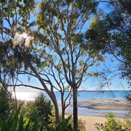 Sea & Park View Private Large newly renovated Apartment, hotel en Urangan
