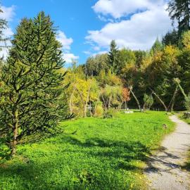 Premium apartment in Schwaz