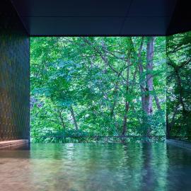 Shima Onsen Yuzuriha, hotel en Nakanojo