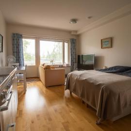 Lil Haven Cozy Studio with Sauna, Glassed Balcony and Free Parking