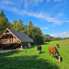 Cozy house Dalija