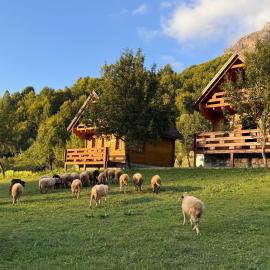 Bujtina Pepushaj Lepushe، فندق في Lëpushë