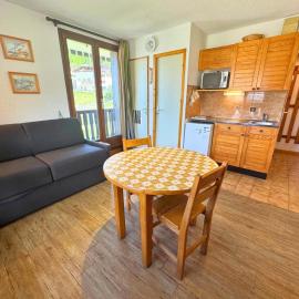 Studio économique 2 pers au centre, animaux admis - FR-1-452-319