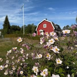 Traumhaus mit Seegrundstück, hotel en Holmsjö