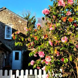 Cute Cornish Cottage, Hotel in Saint Germans