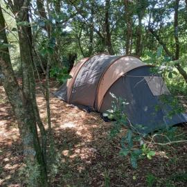 Dargle campsite