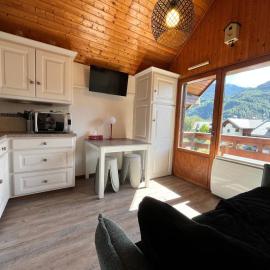 Studio cosy au centre de Samoëns, animaux acceptés - FR-1-624-183
