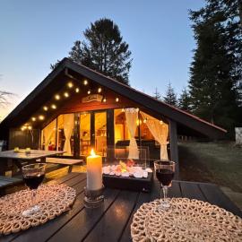 Unique forest cabin by lake near Legoland, ForestCabinDK，安斯艾厄的飯店
