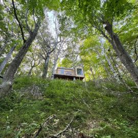 Ananda - Enchanted Forest Hideaway, hotel in Pleasant Bay
