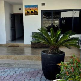 Zachi Zebra Apartment, hotel Kitwében
