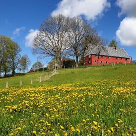 Ferienhaus Haselbach im Erzgebirge
