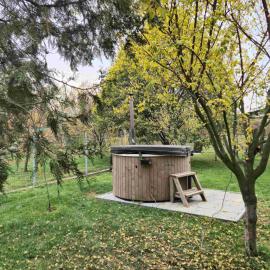 Casa Dana, hotel v destinácii Rîşnov