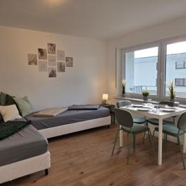 Gemütliches Apartment mit Balkon - Hans NU2