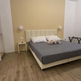 Domus Regis Rooms, hotel v Římě