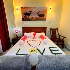 Tea sprig villa, Hotel in Boralanda