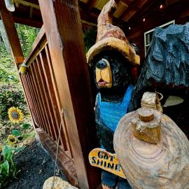 Little Bear Tiny Cabin, hotel em Cosby