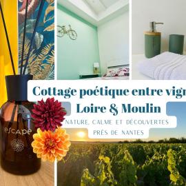 Cottage poétique entre vignes, Loire et moulin