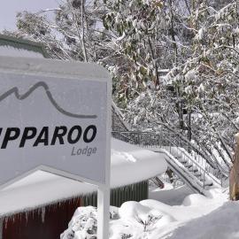 Ripparoo Lodge, hotel in Falls Creek
