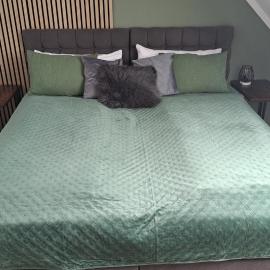 Teuto Valley Suite, hotel in Horn-Bad Meinberg