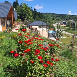 Sunnyside apartments-Pale, Ravna Planina, pool & jacuzzi, hotel a Pale