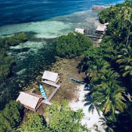 Walking Shark Guest House