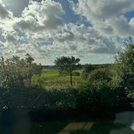 Wiesenblick