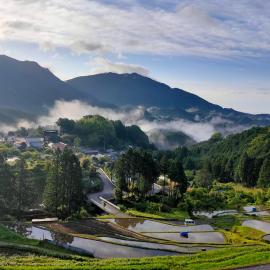 Homestay at Remote Organic Farm，那智勝浦的飯店