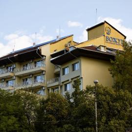 Хотел "Божур", hotel in Mineralni Bani