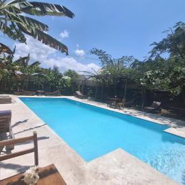 Zanzi-Barbar-Home