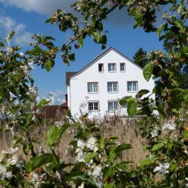 Das Haus am Teich