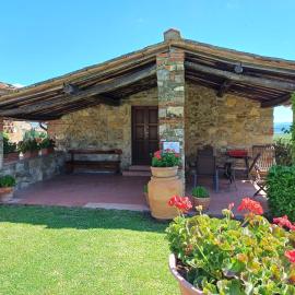 Farmhouse in Tuscany with Olive Grove Views