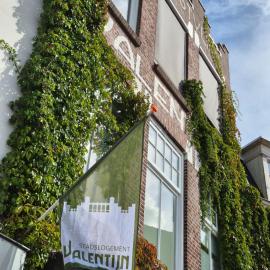 Stadslogement Valentijn: Sneek şehrinde bir otel
