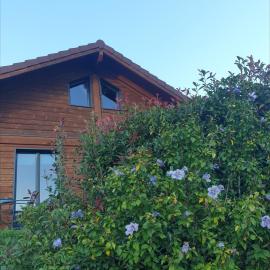 Chalet Bois Cosy - Climatisé - Piscine privée