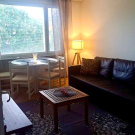 Interesting Kemi Apartment with peaceful environment free parking, Hotel in Kemi