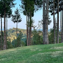 “Mtn Views: Umpqua Valley Villa!”, Hotel in Roseburg