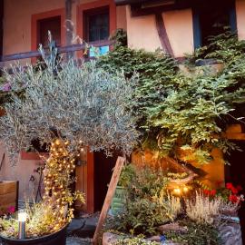 Studio Alsace