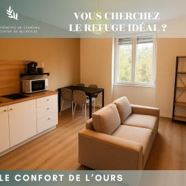 Le Confort de l'Ours, hotel a Mulhouse