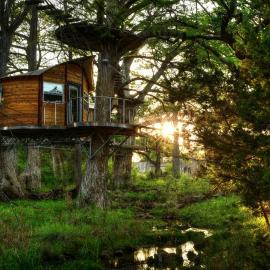 Adventures Await at this Stunning Tree House Retreat in Texas, хотел в Spicewood