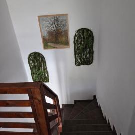 Şuncuiuş में, होटल Pensiunea Gradia Șuncuiuș