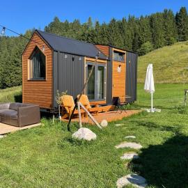 The Alpine Experience by Tiny Away, Hotel in Zell-Freibach